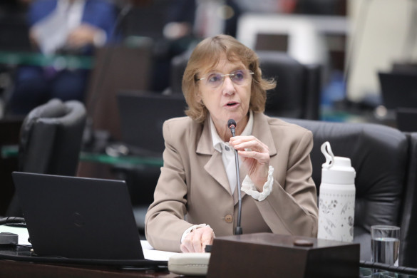 Deputada Luciana Rafagnin (PT) critica reajuste de 19% da Copel e alerta para impactos à população paranaense