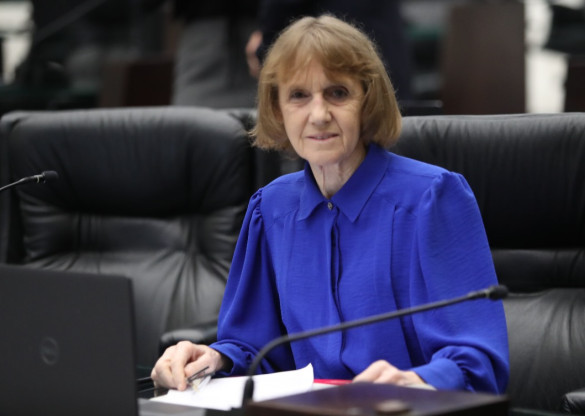 Deputada Luciana Rafagnin (PT) propõe Título de Utilidade Pública à ONG Projgentes de Reserva do Iguaçu