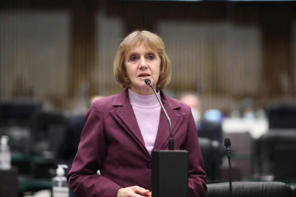 Deputada Luciana Rafagnin propõe política estadual de acolhimento e assistência a órfãos do feminicídio