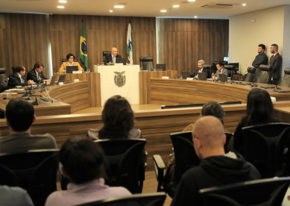 Deputados intensificaram atuação em comissões permanentes, blocos temáticos e frentes parlamentares