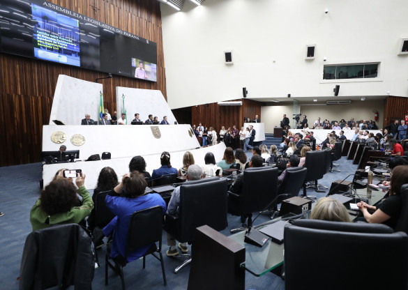 Seminário aborda as oportunidades de financiamento público por meio das emendas parlamentares