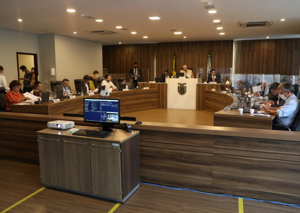 CCJ aprova projetos que instituem políticas públicas para mulheres