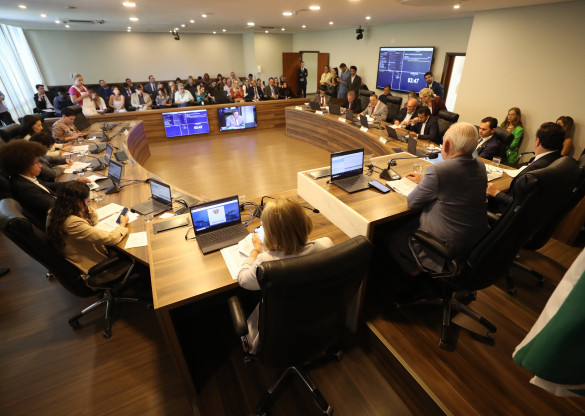 CCJ analisou nova Lei Orgânica da Polícia Civil e reforço à Polícia Penal