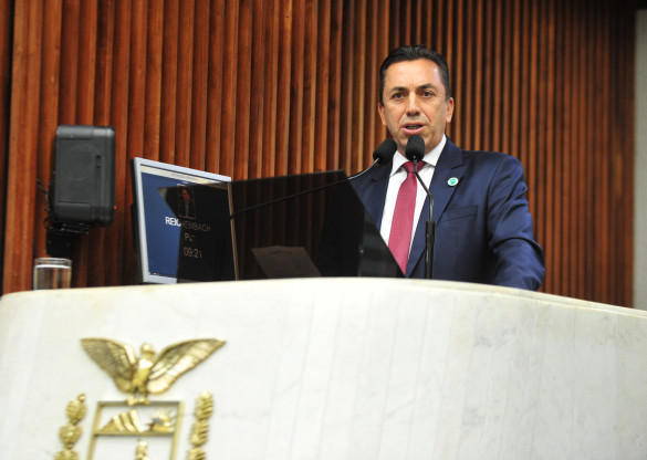 Durante pronunciamento, deputado fala sobre a manutenção preventiva nas redes elétricas do interior do Paraná