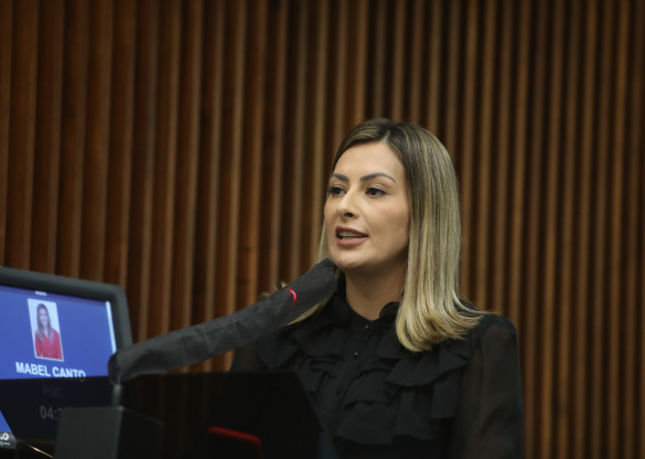 Projeto que garante a presença de doulas em maternidades da rede pública e privada é aprovado em 1º turno