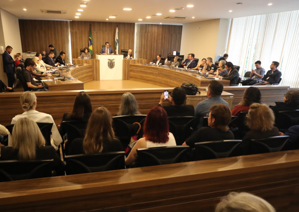 Audiência Pública colhe sugestões para novo código de proteção e bem-estar animal no Paraná