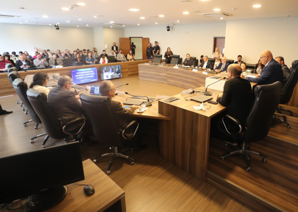 Audiência Pública fiscaliza avanço do PPA nos eixos de bem-estar e assistência social