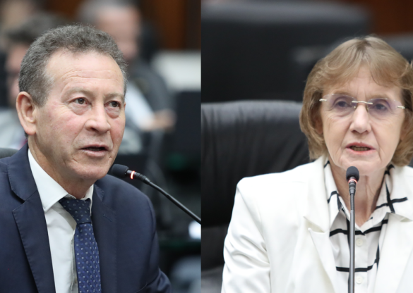 Em requerimento encaminhado à SEED, parlamentares do Bloco PT-PDT solicitam a suspensão do processo de fechamento de Escolas do Campo