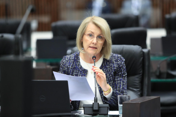 Deputada Secretária Márcia (PSD) reforça importância de plano para saúde mental de atingidos por tragédia em Rio Bonito do Iguaçu