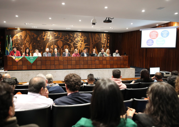 Audiência reforça necessidade de ampliação de políticas públicas para promoção dos direitos da população LGBTQIA+