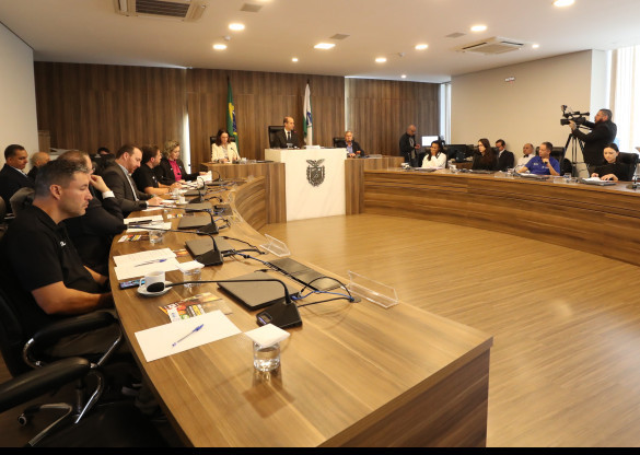 Assembleia Legislativa debate formas de combater a violência em competições esportivas infantojuvenis