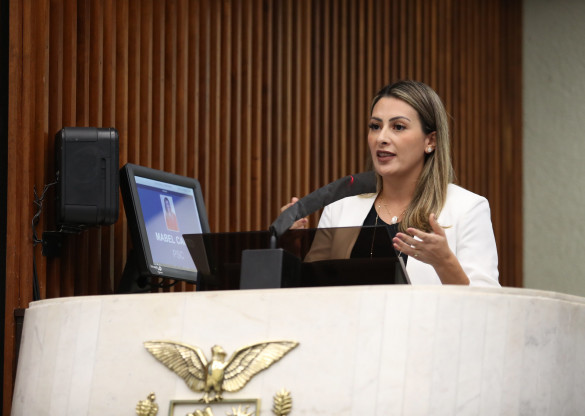 Deputados comentam volta às sessões presenciais