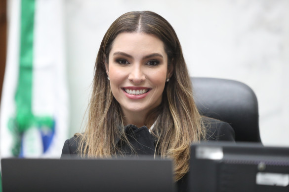 Deputada Maria Victoria (PP) propõe incentivos ao uso do metano para geração de energia limpa no Paraná