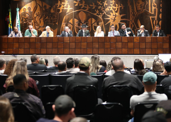 Assembleia Legislativa promove audiência pública sobre porte de armas para vigilantes