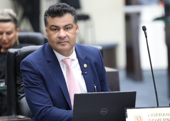Deputado Marcelo Rangel (PSD) propõe lei que permite coleta e comercialização sustentável do pinhão em áreas de Reserva Legal no Paraná