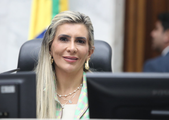 Deputada Flávia Francischini (União) apresenta propostas com novas sanções para a produção e comercialização de bebidas adulteradas ou falsificadas