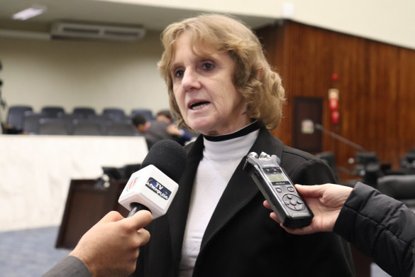 Deputada questiona governo sobre habilitação de hospital filantrópico para ampliação dos leitos de Covid-19 em Guarapuava