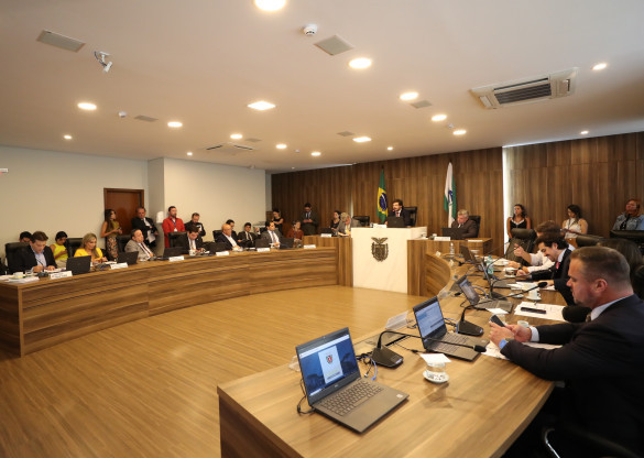 CCJ aprova proposta que institui o Código Disciplinar da Polícia Civil