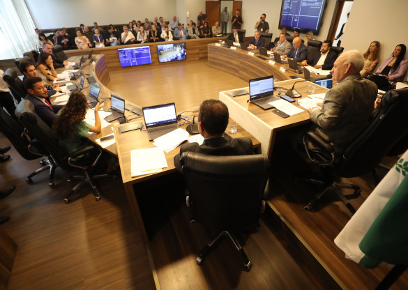 CCJ retoma atividades com aprovação de propostas sobre violência doméstica e análise de matérias administrativas