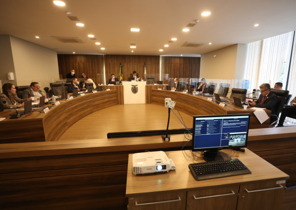 CCJ aprova projeto de resolução que pretender revisar repartição de competências da federação