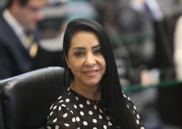Presidente da Comissão de Defesa dos Direitos da Mulher presta contas do ano de 2021