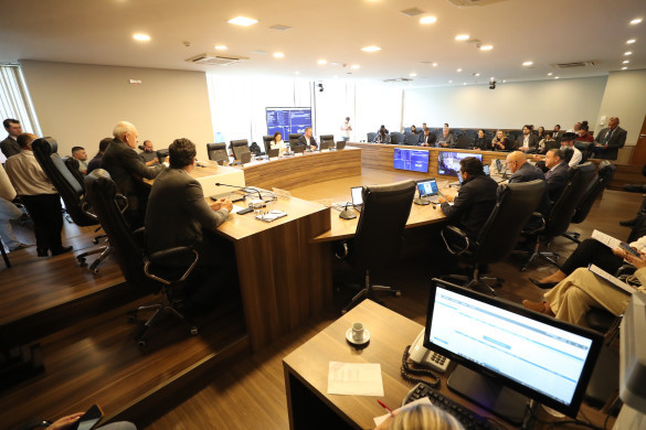 Em reunião extra, CCJ aprova emenda que aprimora proposta de socorro financeiro às empresas atingidas pelo tornado em Rio Bonito do Iguaçu