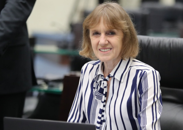 Deputada Luciana Rafagnin (PT) propõe inclusão do queijo colonial na cesta básica estadual do Paraná