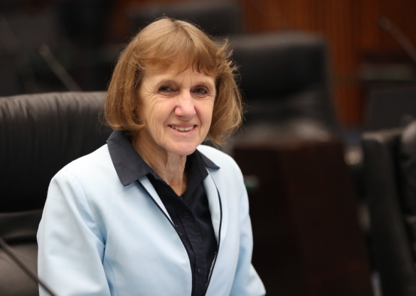 Deputada Luciana Rafagnin (PT) propõe incentivo ao xadrez adaptado para pessoas com deficiência visual no Paraná