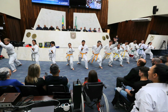 Dezembro Faixa Preta é celebrado em sessão solene na Assembleia