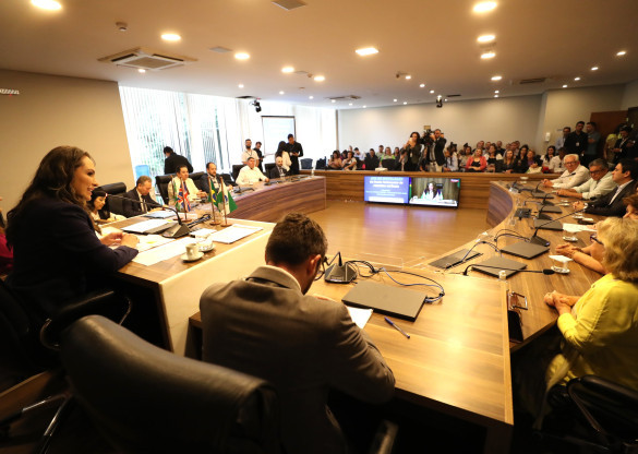 Ampliação do ensino de inglês na rede pública é discutida em reunião de Frente Parlamentar da Primeira Infância