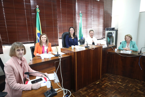Código de Defesa dos Direitos da Mulher Paranaense avança com contribuição da SEMIPI
