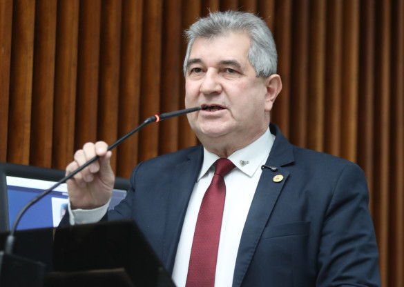 Deputado Bazana (PSD) defende escolas especializadas e pede revisão de Decreto Federal que altera política de educação inclusiva