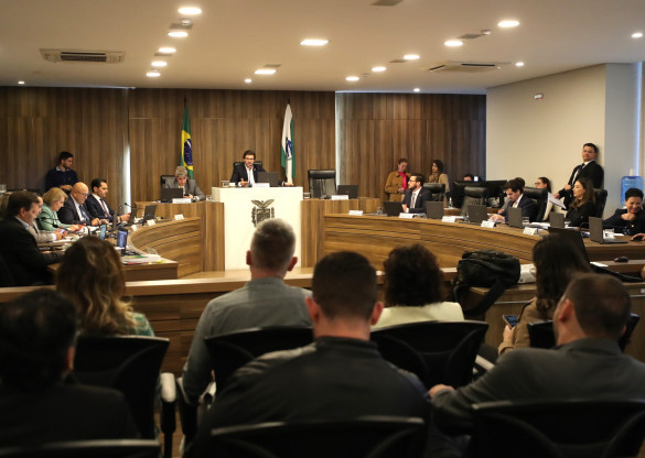 CCJ aprova projetos que permitem transferência de recursos e assistência emergencial ao RS