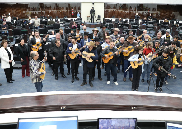 Assembleia realiza 1ª celebração do Dia Estadual da Música e Viola Caipira