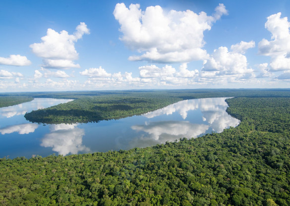Deputado Goura (PDT) apresenta projeto de lei para eliminar espécies invasoras na bacia do Rio Iguaçu