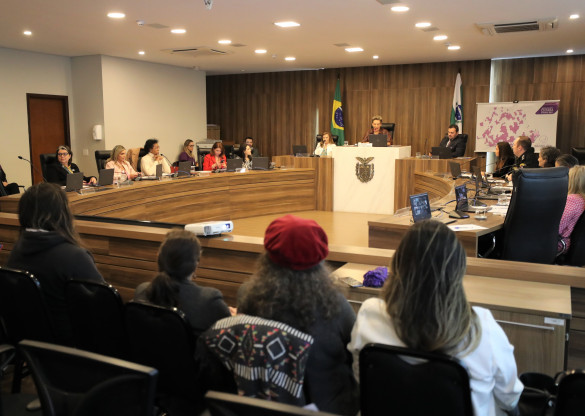 Audiência pública debate o papel das instituições no combate à violência de gênero