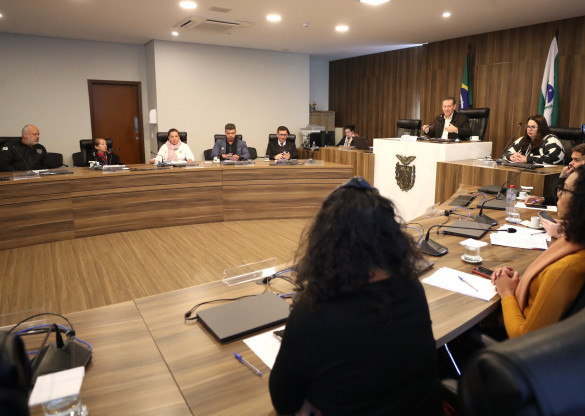 Em reunião, Comissão de Direitos Humanos e da Cidadania recebe relatório sobre Complexo Médico Penal