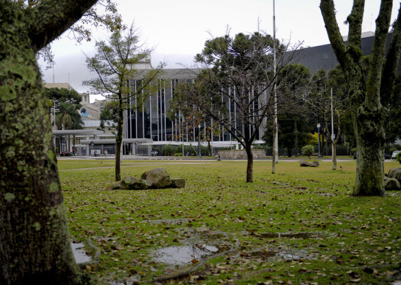 Assembleia volta a debater a proposta que garante a presença de doulas em maternidades da rede pública e privada