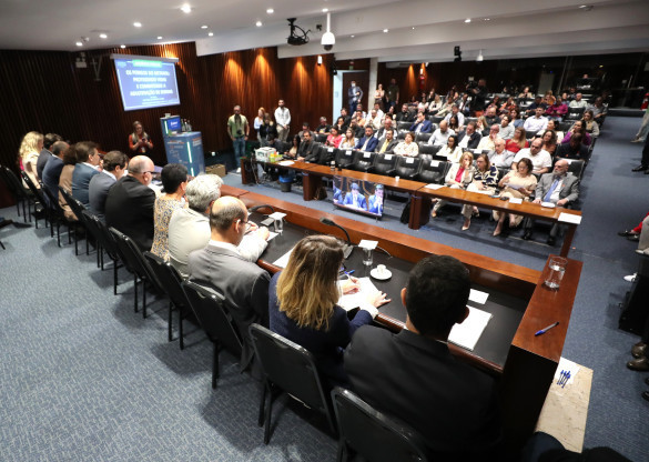Audiência Pública aponta soluções para a crise no setor de bebidas provocada por casos de intoxicação por metanol