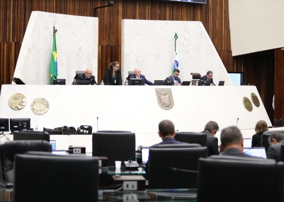 Assembleia aprova proibição de corrida de cães em todo o Paraná