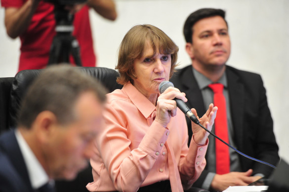 Deputada volta a criticar fechamento de escolas no Paraná