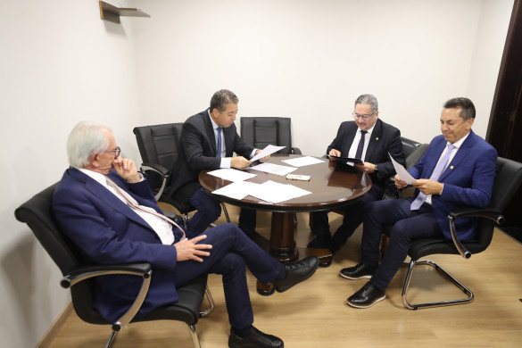 Comissão de Defesa dos Direitos da Pessoa Idosa aprova projeto que cria Cordão de Tulipa