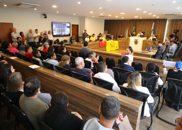 Audiência Pública articula grupo de trabalho para enfrentar despejos de moradores que vivem próximos às linhas de transmissão da Copel