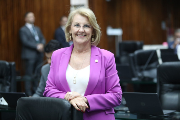 Assembleia Legislativa aprova projeto que concede título de Utilidade Pública ao Instituto Música e Arte