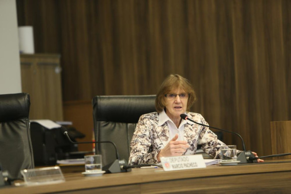 Luciana quer ampliar atenção a dependentes químicos no SUS