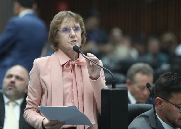 Deputada Luciana Rafagnin (PT) solicita ao DNIT redutores de velocidade e duplicação da BR-163 no Sudoeste