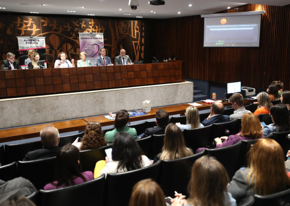 Assembleia debate prematuridade e os impactos na saúde materno-infantil em audiência pública