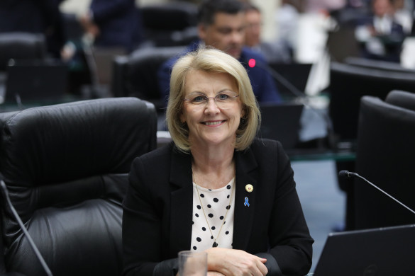 Proposta pela deputada Secretária Márcia (PSD), sessão solene homenageia fisioterapeutas e terapeutas ocupacionais