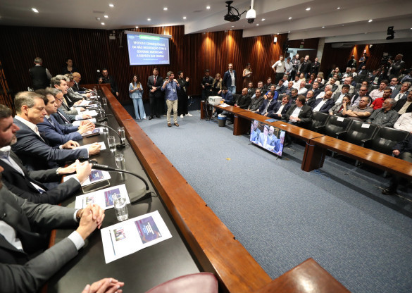 Audiência apresenta medidas para socorrer setor madeireiro do Paraná diante do ‘tarifaço’ dos EUA