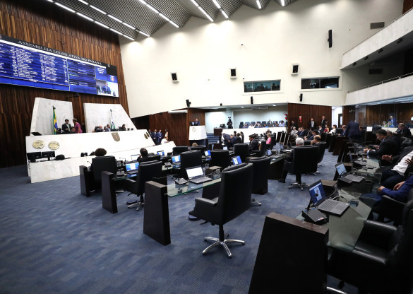 Deputados aprovam iniciativas para auxiliar e proteger as mulheres no Paraná